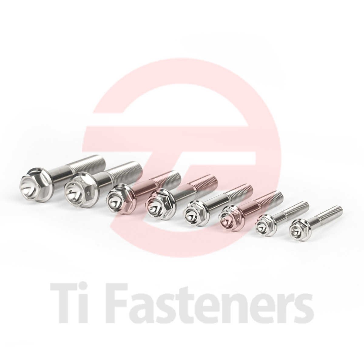 Titanium Front Brake Caliper Bolt Drilled Hex Front Brake Caliper Bolt M8 M10 Silver Polished Din6921,grade 5 Ti-fasteners