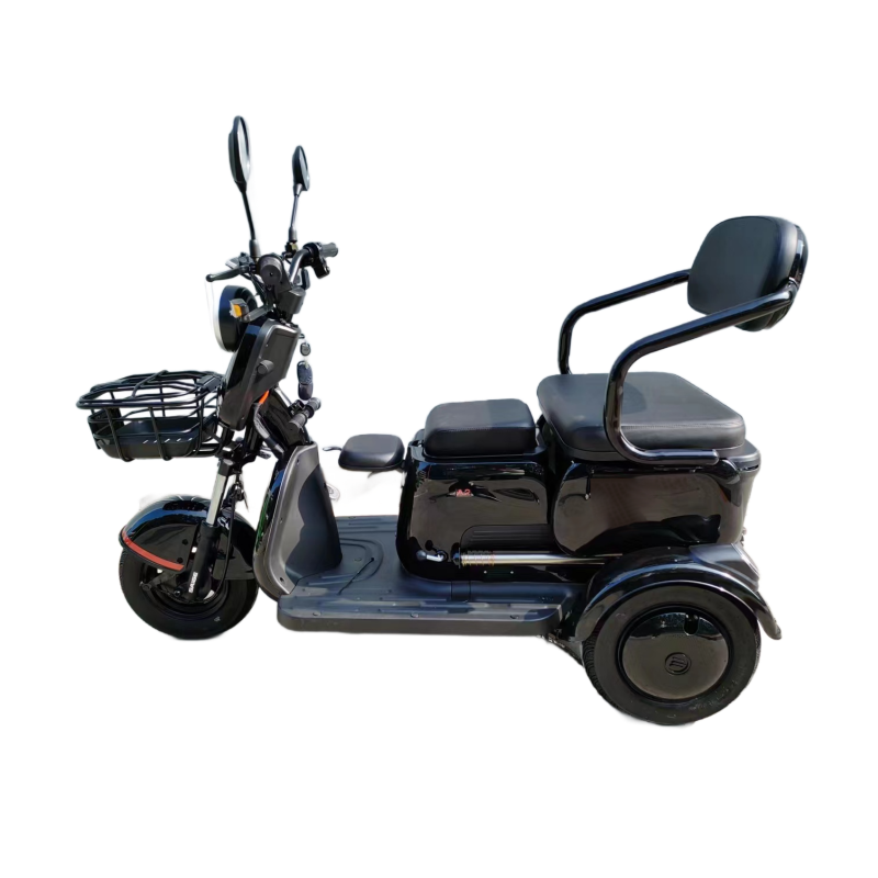 Eec Coc 1000w Electric Passenger 3 Wheel Scooter WithLead Acid Battery Rechargeable Battery Mobility Scooter Elderly