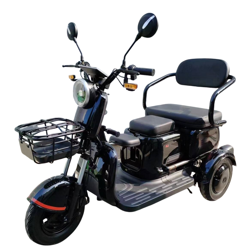 Eec Coc 1000w Electric Passenger 3 Wheel Scooter WithLead Acid Battery Rechargeable Battery Mobility Scooter Elderly