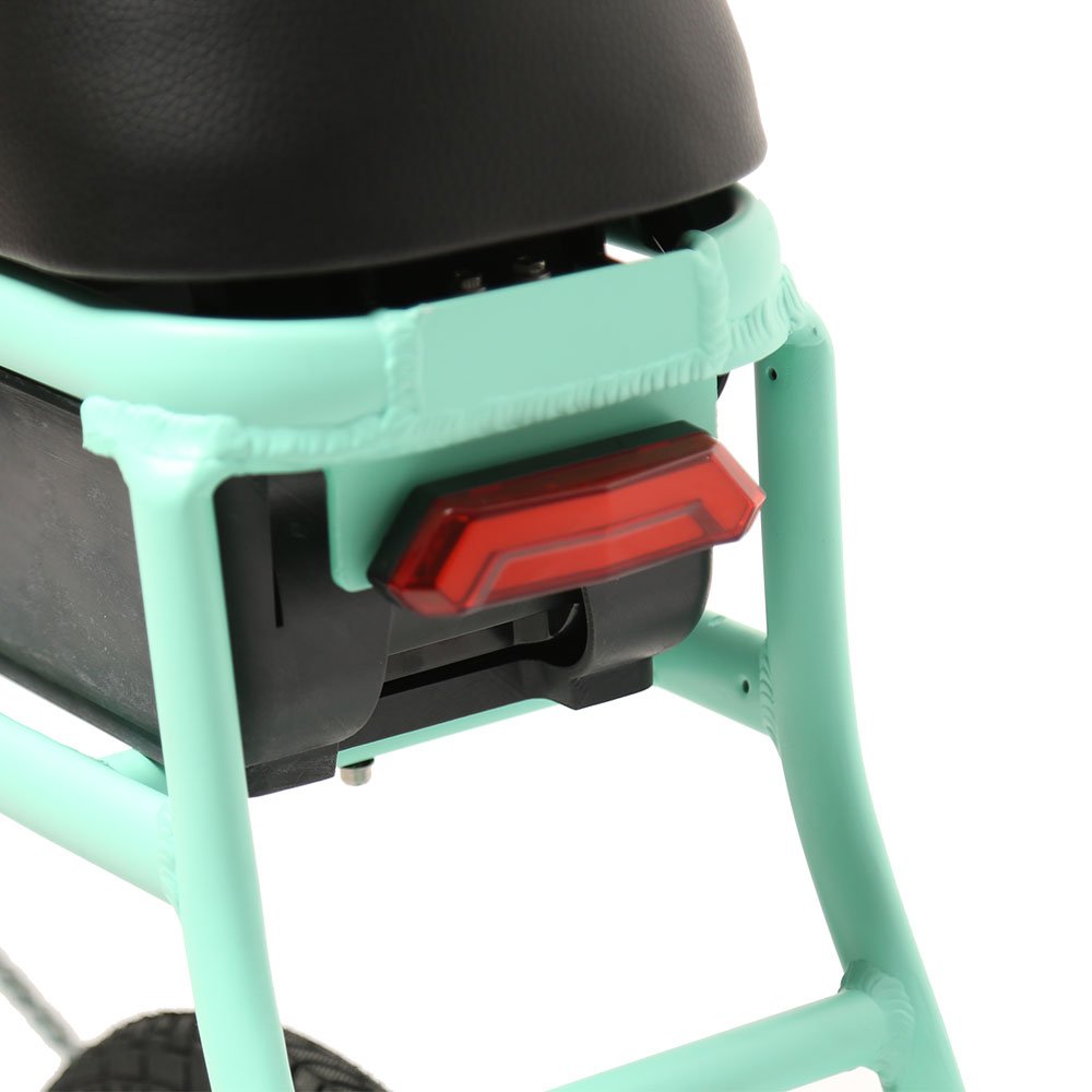 TXED New Design 500W Rear Motor Electric Share System Electric Bike Soft Saddle Electric Sharing Bike