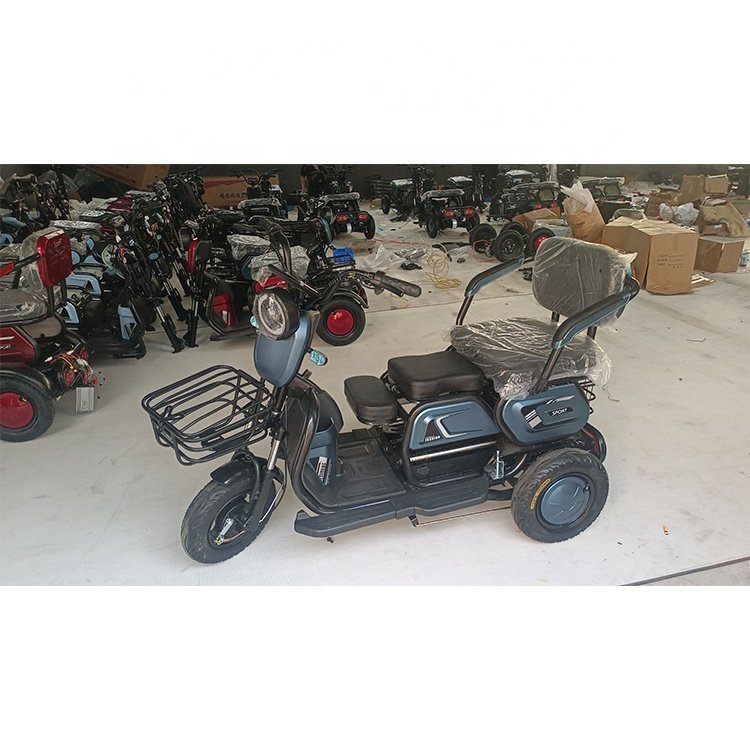 2023 E Bikes Electric Cargo 3 Wheel Trike 72V Automatic Passenger Bicycle Scooter with Steel Frame 60V Closed EEC Trike Features