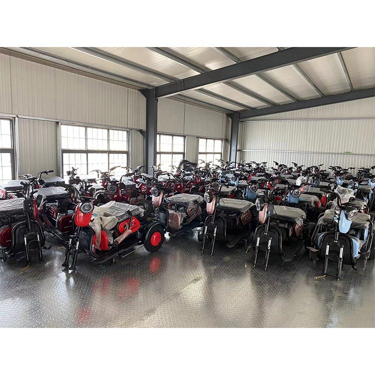 2023 E Bikes Electric Cargo 3 Wheel Trike 72V Automatic Passenger Bicycle Scooter with Steel Frame 60V Closed EEC Trike Features