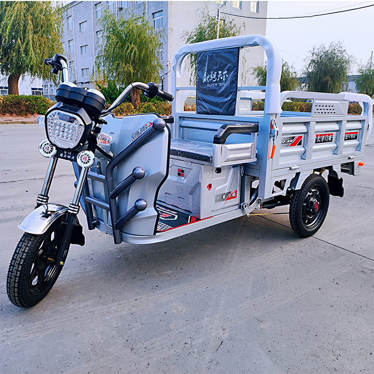 Cheap 1.3m Load Carriage Home Use Cargo Electric Tricycle with Three Wheels
