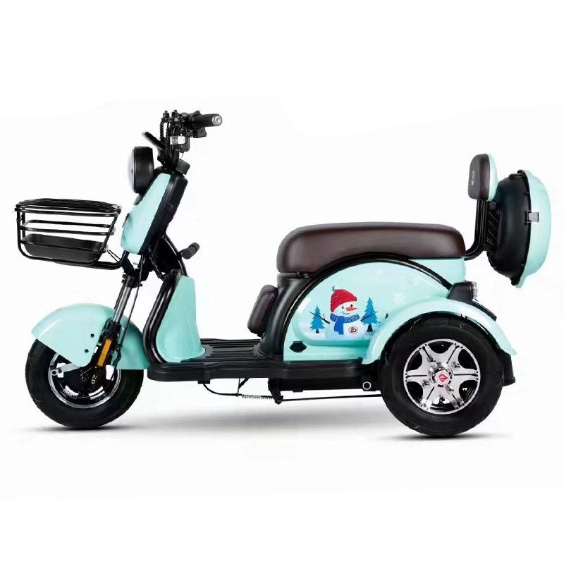 Available for Elder 10inch Drum Brake Motor 800w Battery 60v Electric Scooter Tricycle Adult