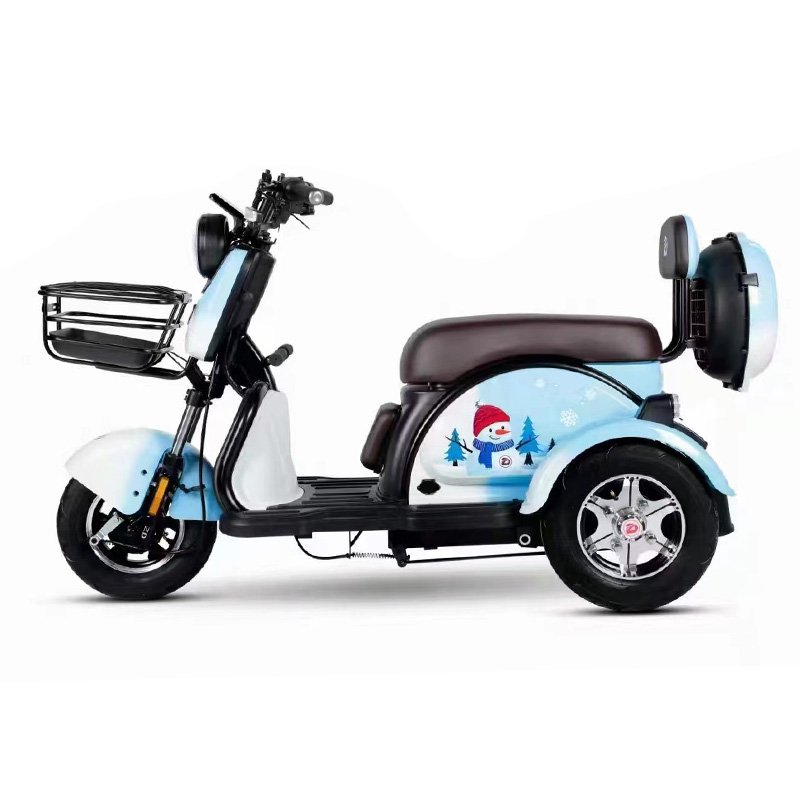 Available for Elder 10inch Drum Brake Motor 800w Battery 60v Electric Scooter Tricycle Adult