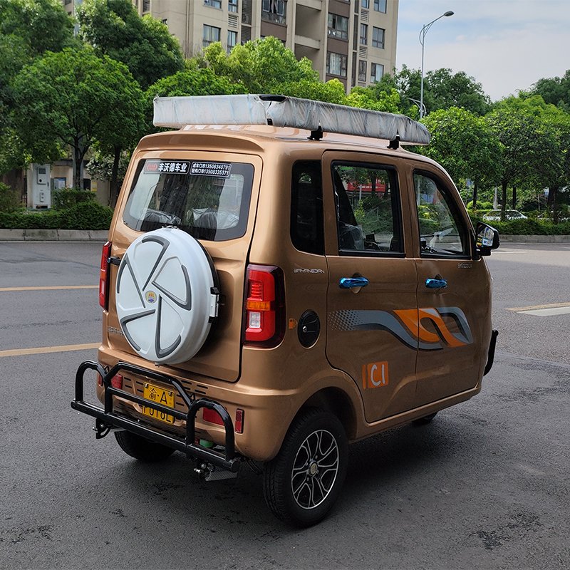 Adult 3-wheel Tricycle Enclosed 3 Wheel Petrol Motorcycle