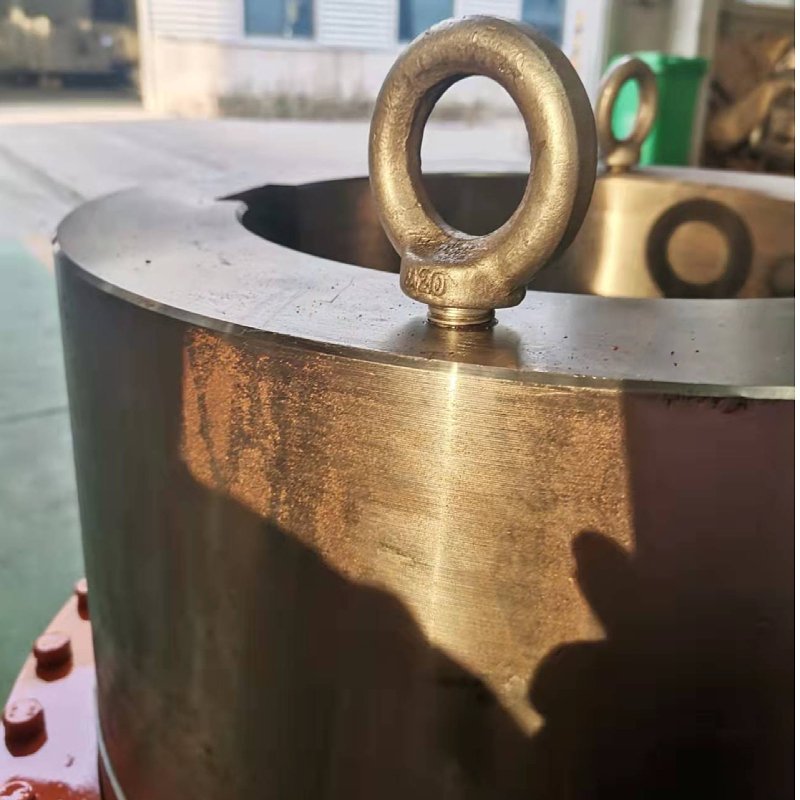 WGP Model Brake Disc Drum Non Standard Custom WGP Type Drum Gear Tooth Coupling GIICLZ Curved Tooth Pump Rigid Gear Coupling