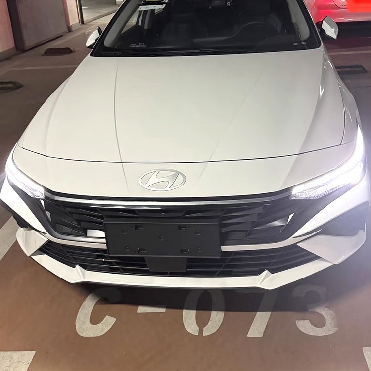 For Hyundai Elantra Rear Trunk Spoiler Wing, Rear Roof Spoiler Roof Wing Body Kit Car Accessories/