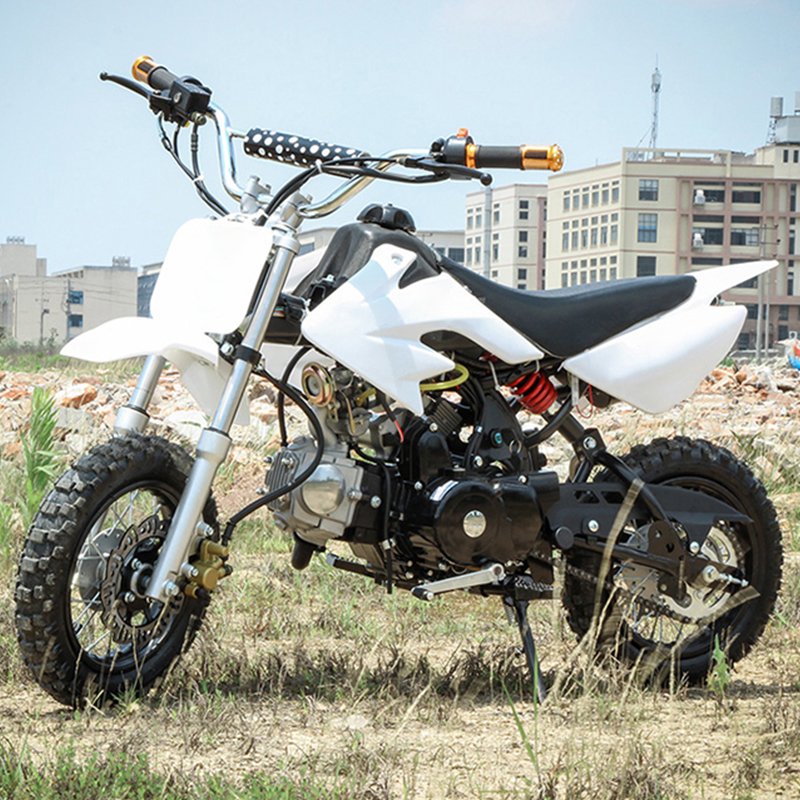 125cc Dirt Bike 125cc Pit Bike Dirt Bikes for Sale