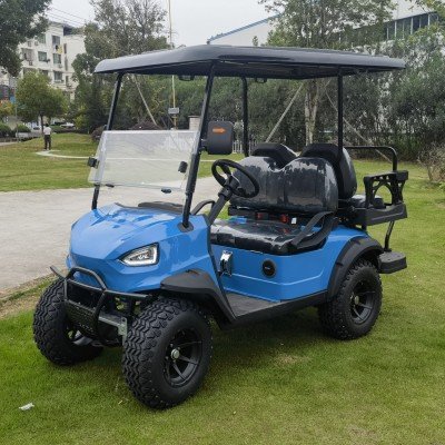 4 Seater Gas Powered Golf Cart with off Road Tyre and Fashion Type Made in China