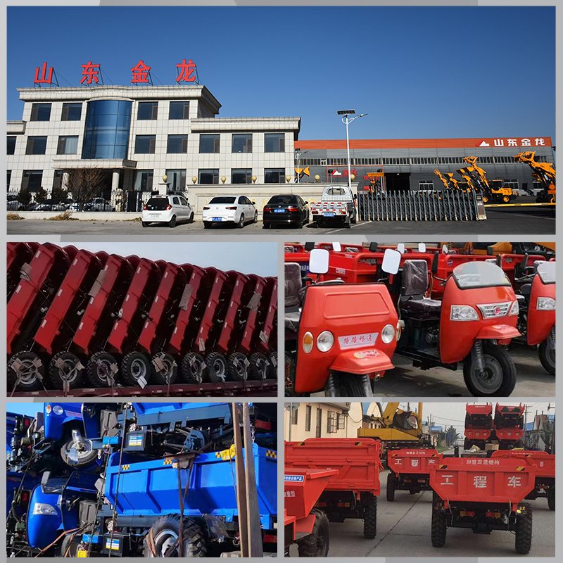 Tricycle Motorcycle diesel Engine for Passenger diesel Tricycle Cargo Motorized diesel Tricycle