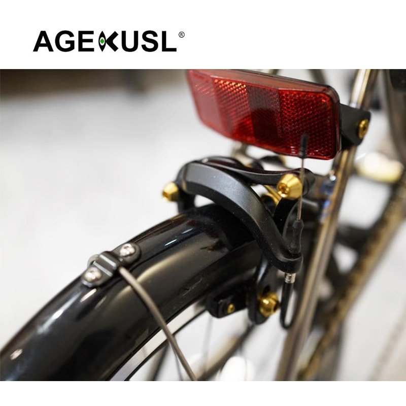 AGEKUSL Bike Brake Caliper Bolts Brake Pads Titanium Screws Nuts for Brompton a Line C Line 22 Year Model