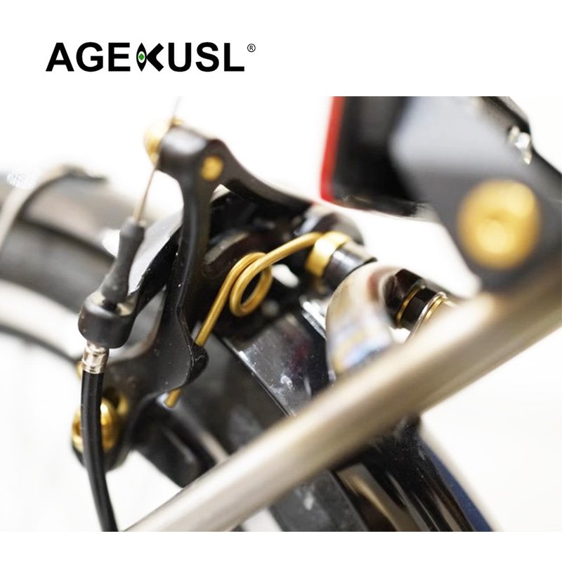 AGEKUSL Bike Brake Caliper Bolts Brake Pads Titanium Screws Nuts for Brompton a Line C Line 22 Year Model