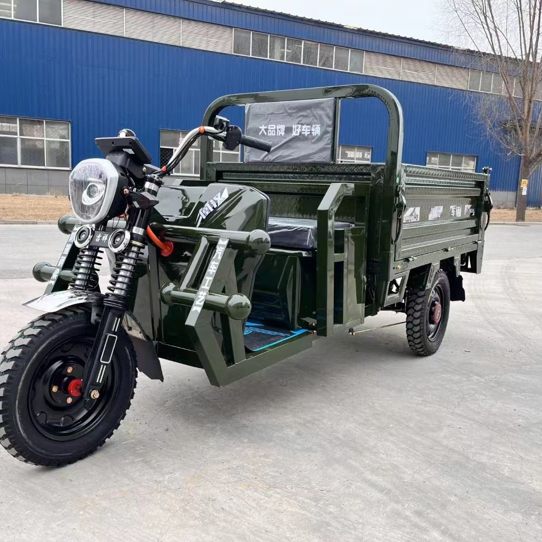 Electric Cargo Tricycle for Domestic Agricultural Sanbengzi Household Drum Brake Tipping Bucket Best Gift for Parents Friends
