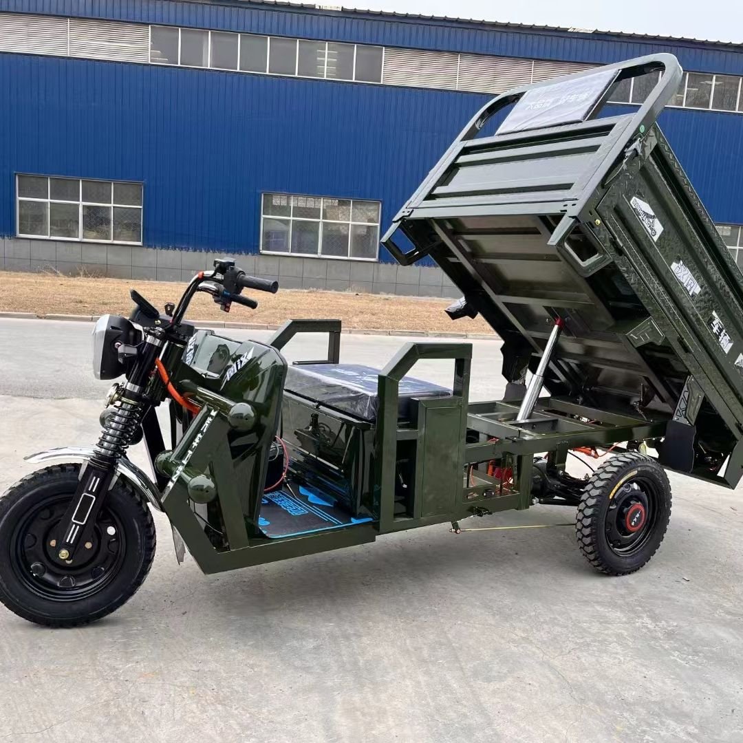 Electric Cargo Tricycle for Domestic Agricultural Sanbengzi Household Drum Brake Tipping Bucket Best Gift for Parents Friends