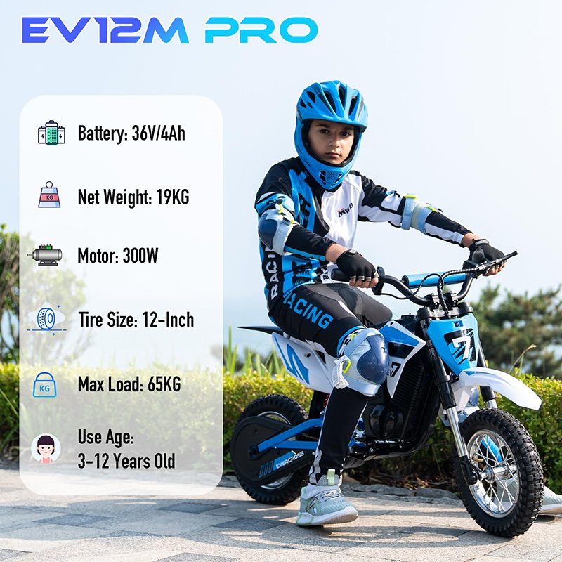 2025 Newest 36V 300W Have Wide Tire Drum Brake Two Wheeled Electric Motorcycle With Blue Tooth Music