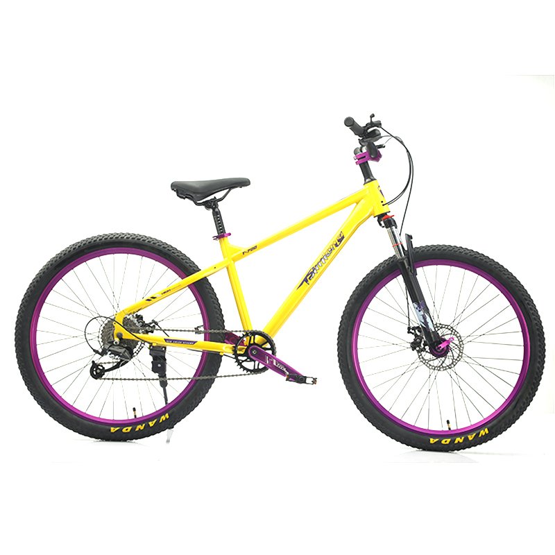 Cheap Bicycle China Mountain Bike 9 Speed Cycle Full Suspension Mountain Bike 26 Inch Mtb Bicicletas for Adults.