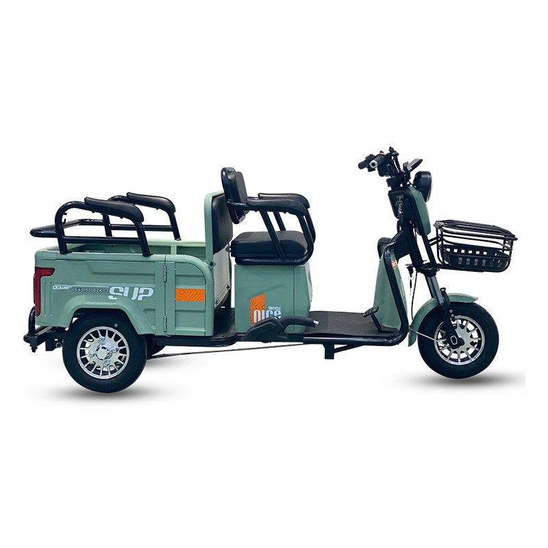 FULILKE Electric Scooter 600W 3 Wheels Electric Tricycle Motorcycle for Adults Passenger
