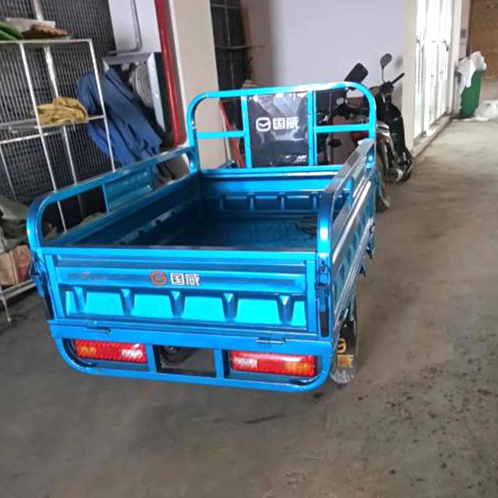 Three Wheel Cheap Price Strong Power 1000W/1200W 60V Electric Tricycle Cargo Tricycle