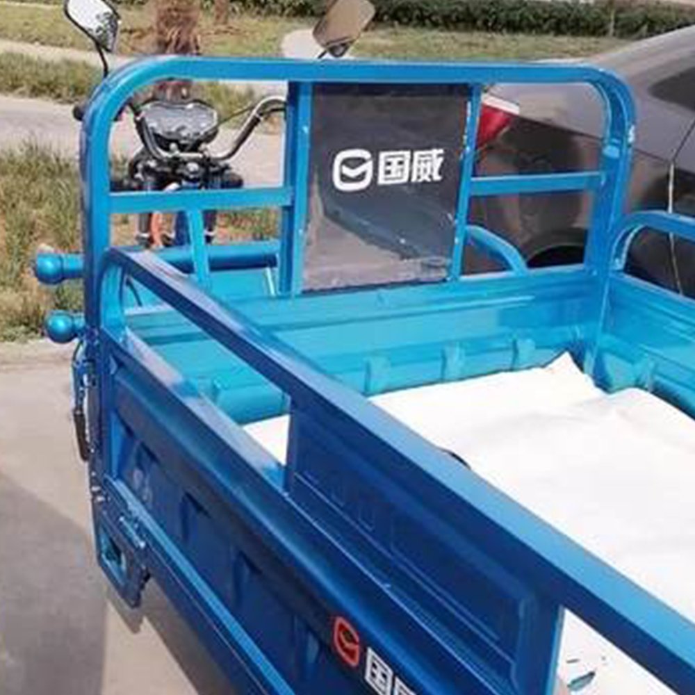 Three Wheel Cheap Price Strong Power 1000W/1200W 60V Electric Tricycle Cargo Tricycle