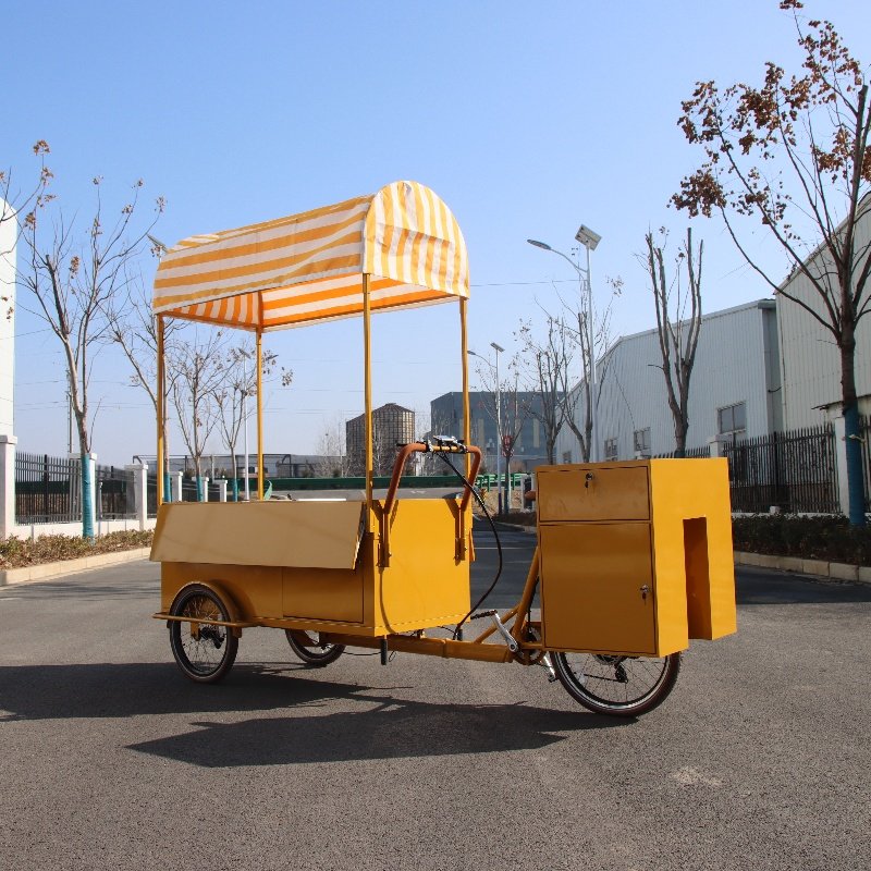 3 Wheel Electric Hot Dog Bicycle Food Cart for Sale