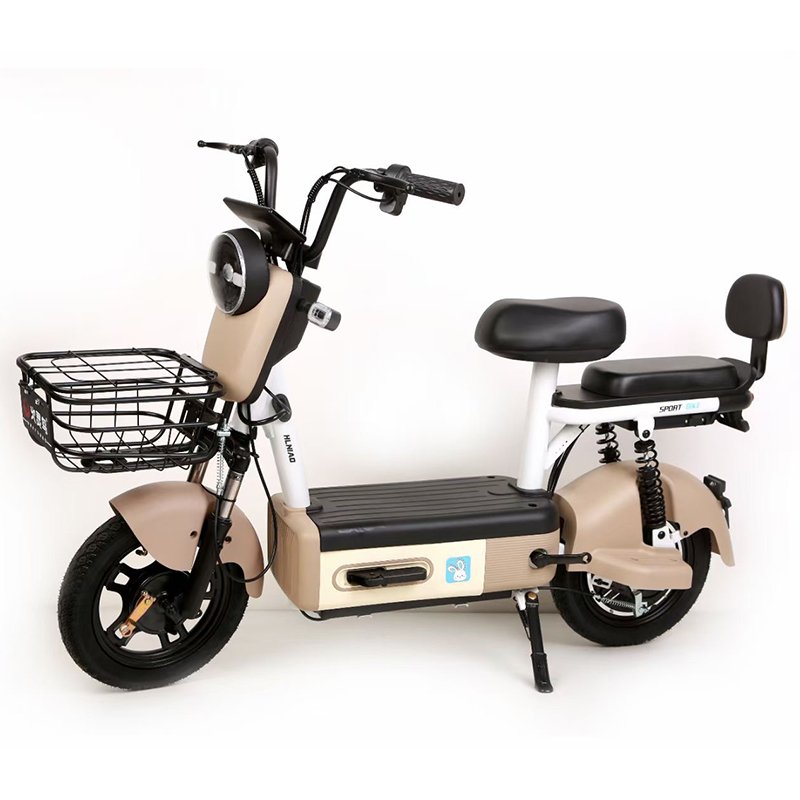 Advanced Practical Drum Rear Expanding Brake Electric Bicycle 48V E-Bike