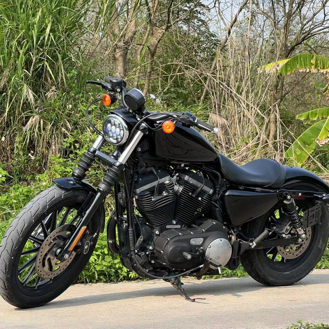 Cruiser DDP to Indonesia Used Davidson Davidson Motorcycles 883