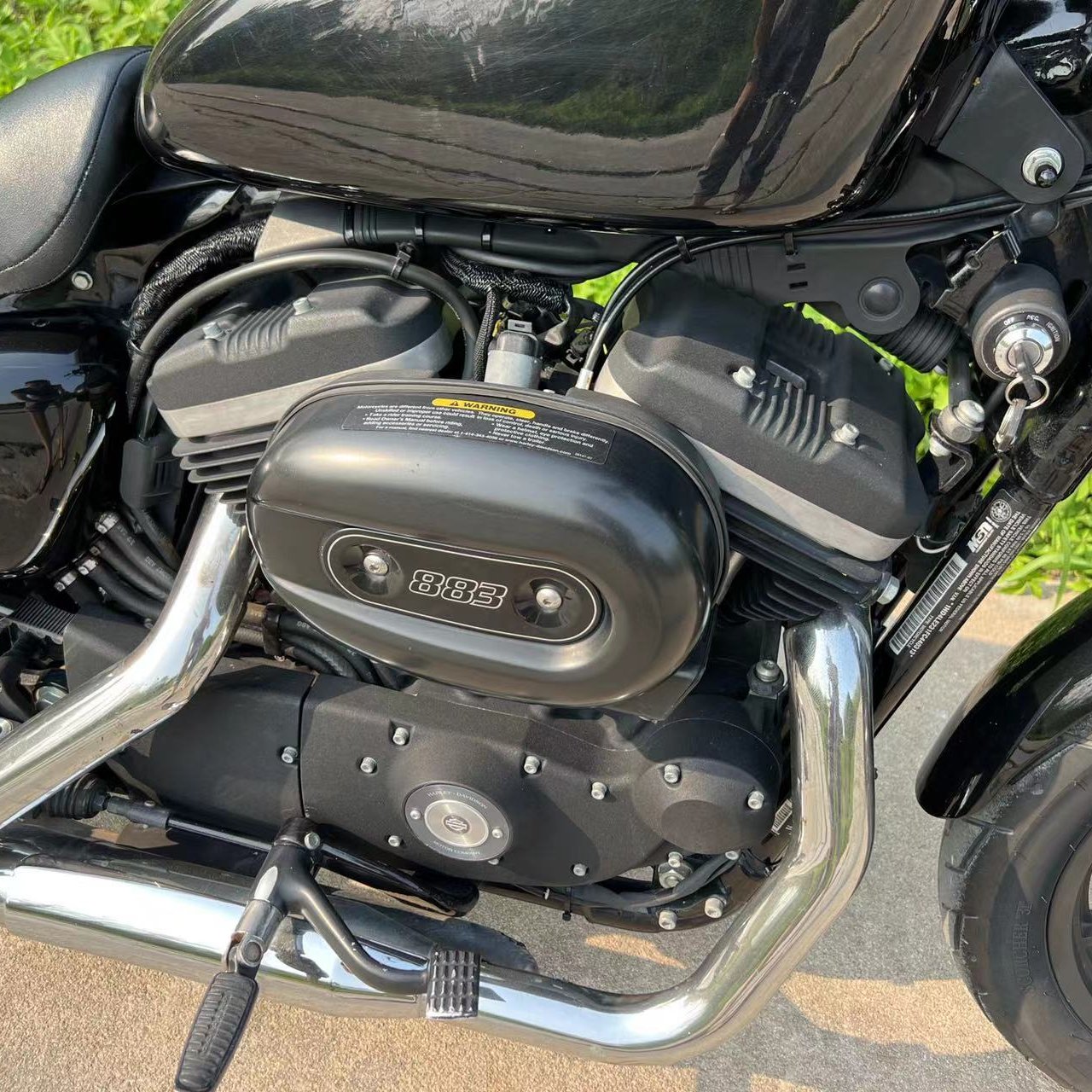 Cruiser DDP to Indonesia Used Davidson Davidson Motorcycles 883