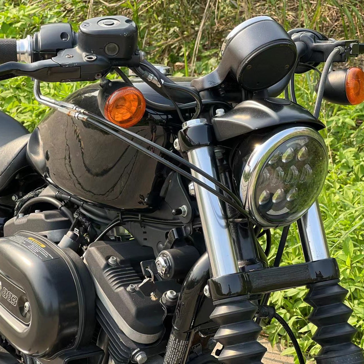 Cruiser DDP to Indonesia Used Davidson Davidson Motorcycles 883
