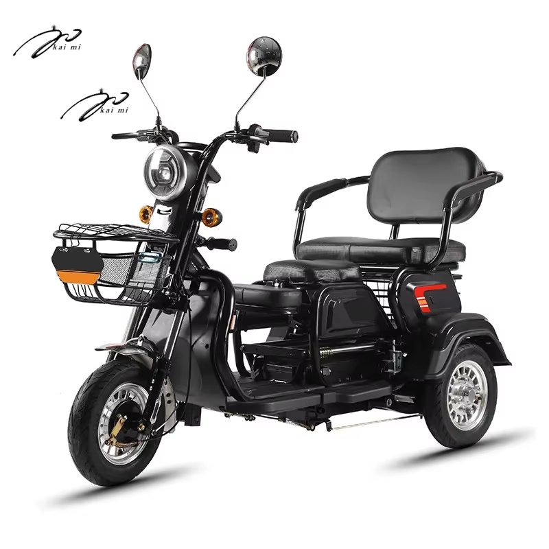 800W Electric 2-Person Tricycle Adjustable Small Household Pedicab with Comfortable Three-Seats