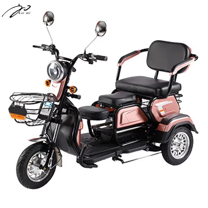 800W Electric 2-Person Tricycle Adjustable Small Household Pedicab with Comfortable Three-Seats