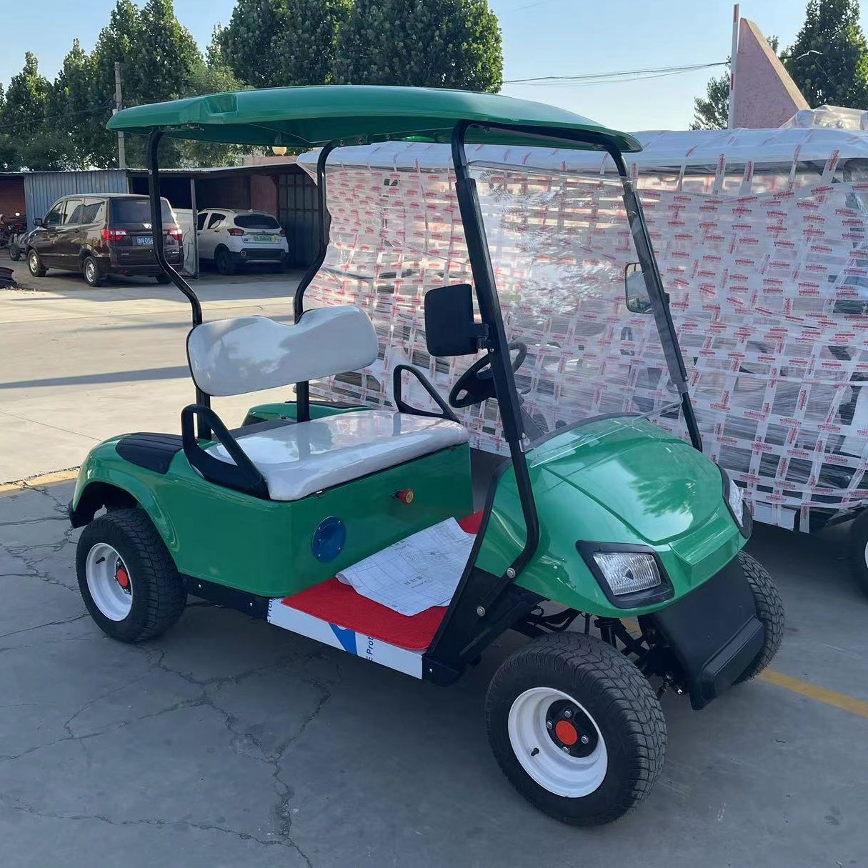 2 Seater 48/72V Motorized Evolution Cheap Chinese EV Electric Golf Cars