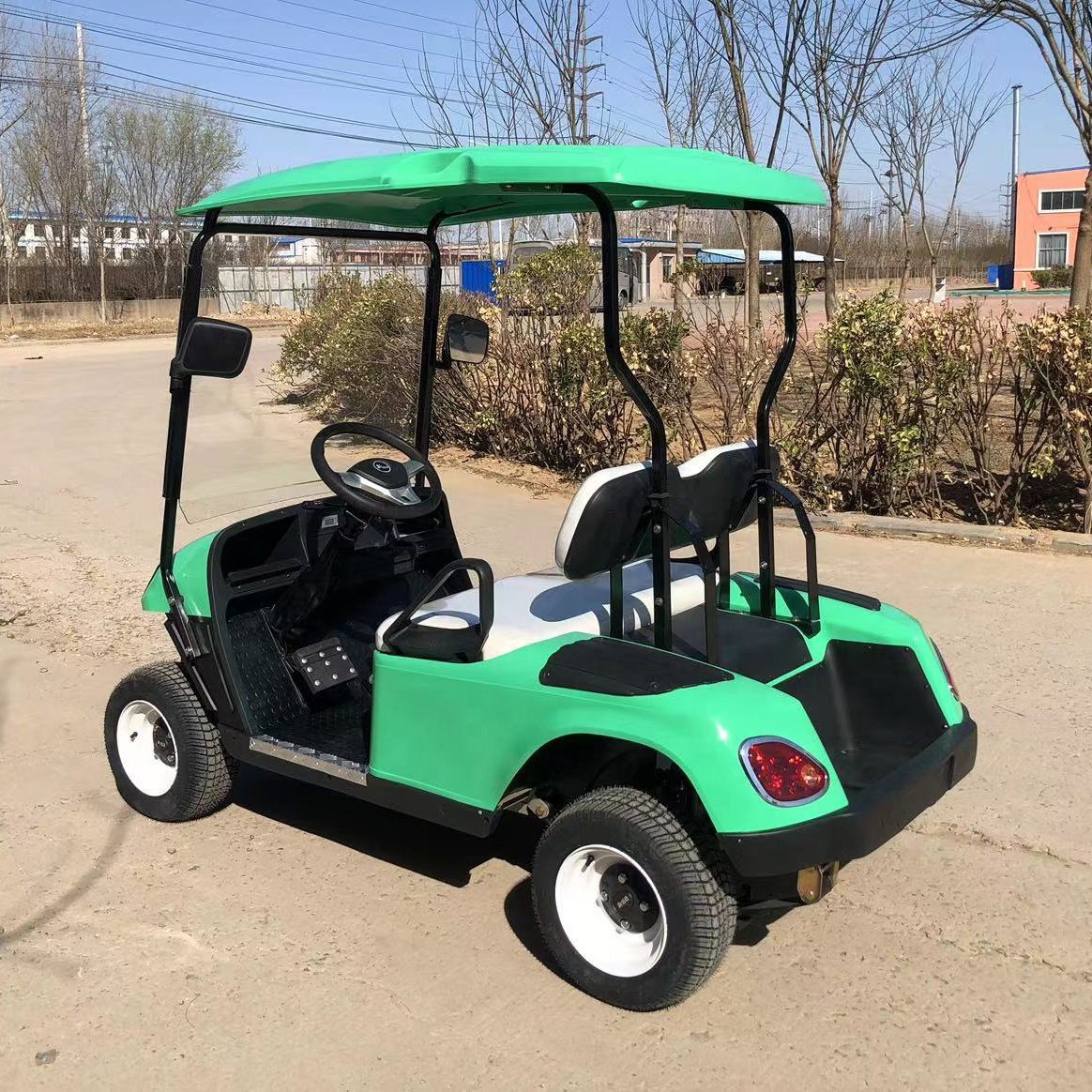 2 Seater 48/72V Motorized Evolution Cheap Chinese EV Electric Golf Cars