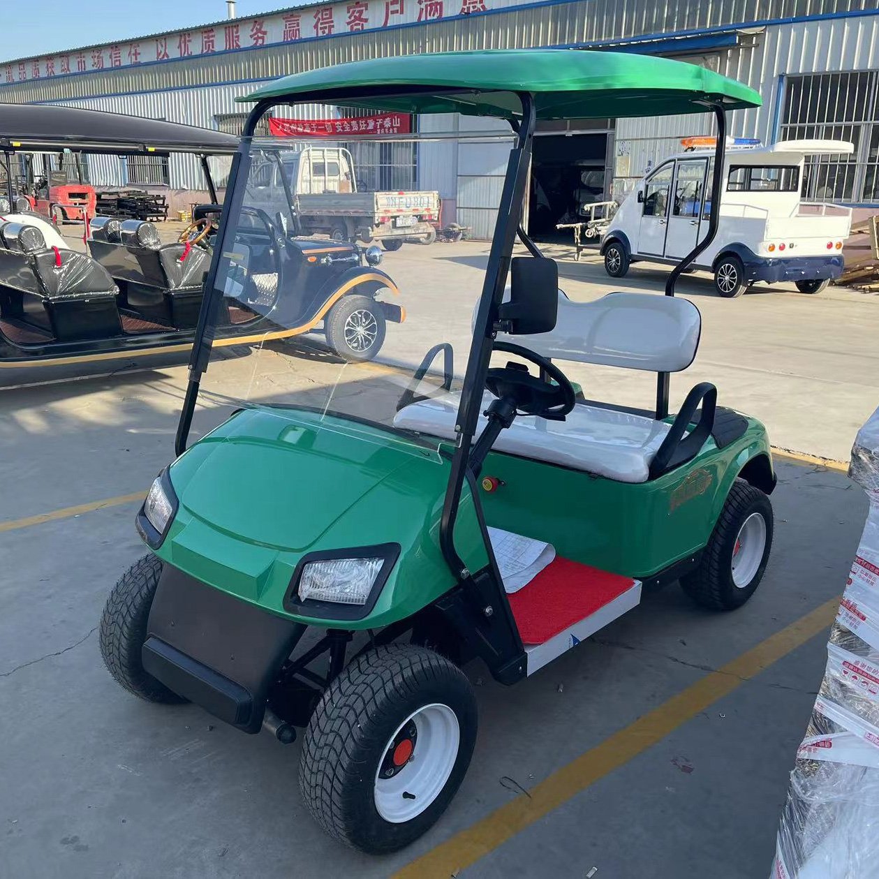 2 Seater 48/72V Motorized Evolution Cheap Chinese EV Electric Golf Cars