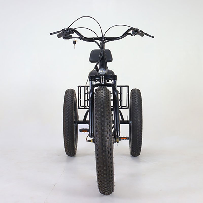 350W/500W 20*4.0 Inch 12/15Ah Battery Power Electric Bike Strong Electric Bike Three Wheel Cargo Bike Scooter