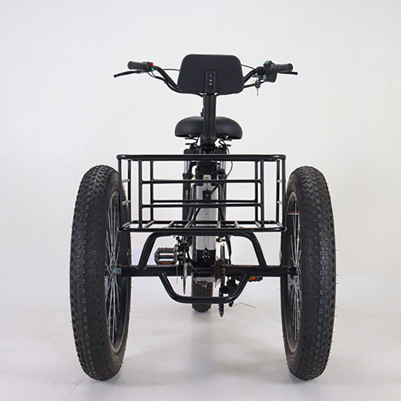 350W/500W 20*4.0 Inch 12/15Ah Battery Power Electric Bike Strong Electric Bike Three Wheel Cargo Bike Scooter
