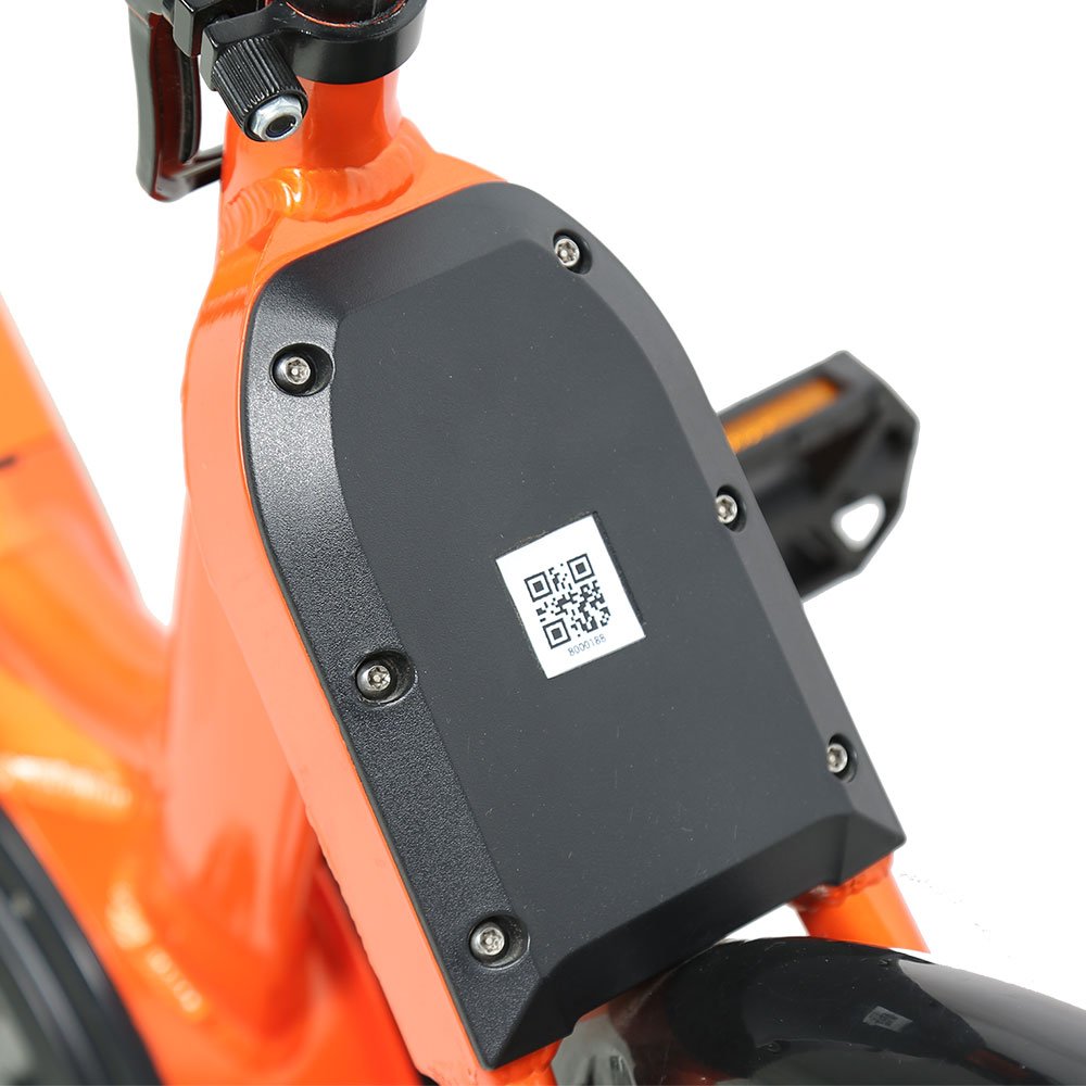 TXED New Style 36V/13AH Lithium Battery Sharing System Bike 250W Middle Motor Electric Cycle Sharing Bicycle for Adults