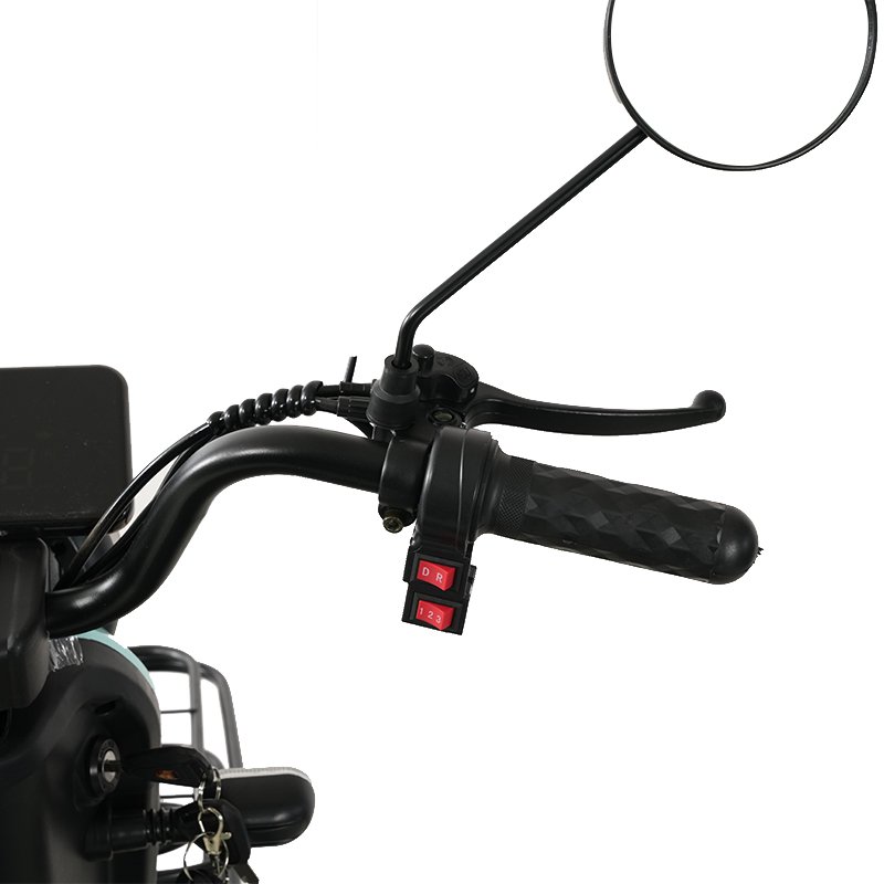 Supply Electric Tricycle 3 Wheels Bicycle E-Bike Three Wheel Fat Tire Electric Tricycle Cargo for Beach Cruiser