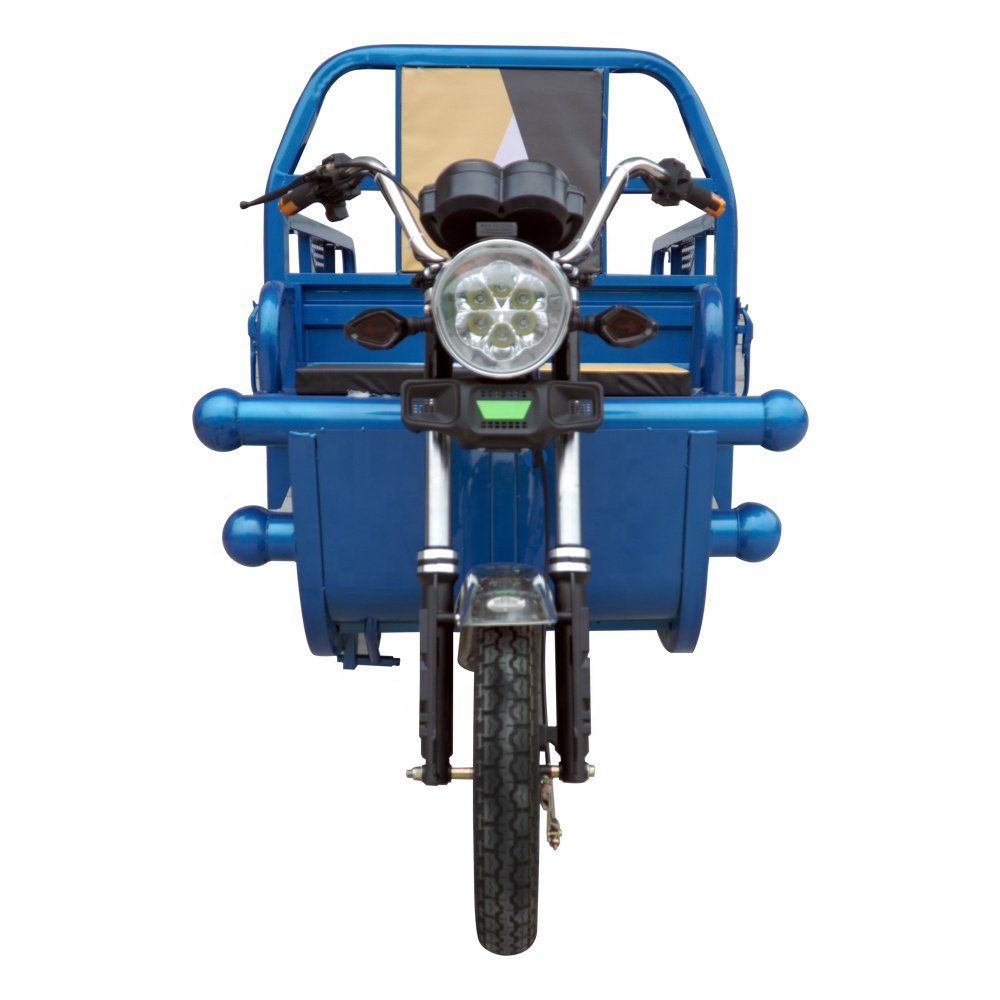 CE China High Quality Cargo Tricycle/three Wheel Motorcycle Scooter with 1000W Motor