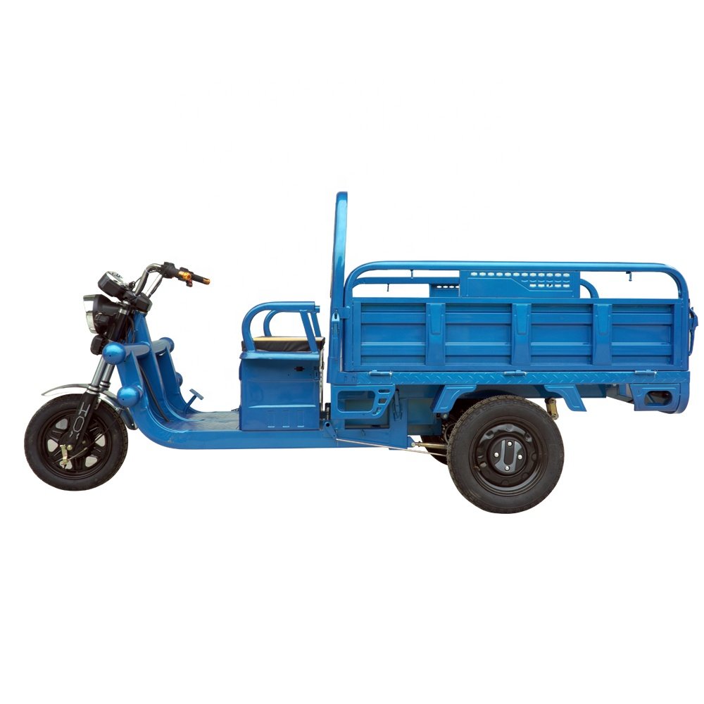 CE China High Quality Cargo Tricycle/three Wheel Motorcycle Scooter with 1000W Motor