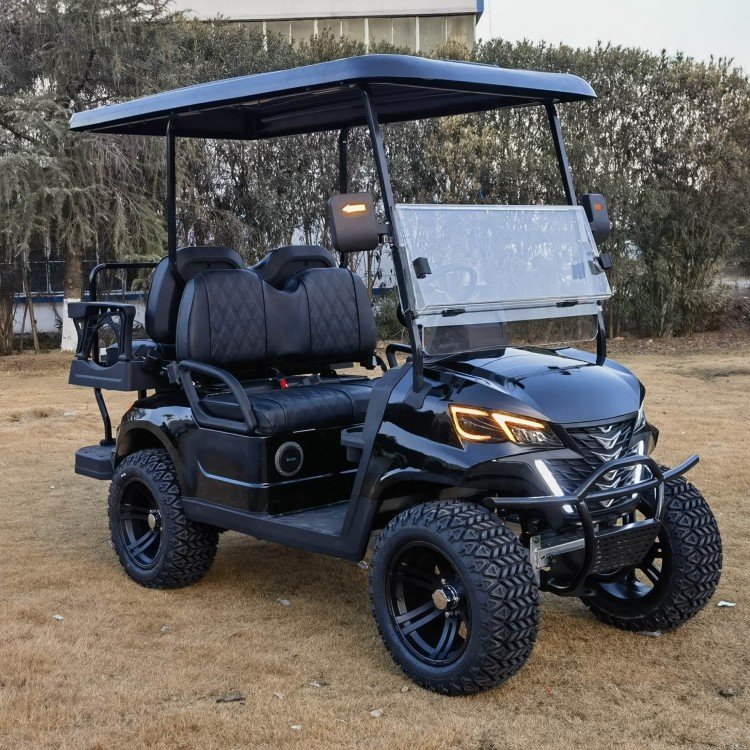 Wholesale Price EPA Certified Gas or Electric Powered Golf Carts/off Road Golf Car with Gasoline Engine with 4 or 6 Seaters