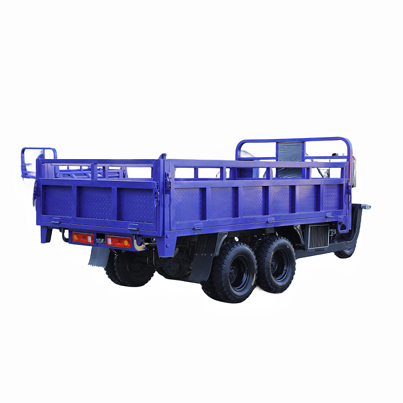 350cc 2.5m*1.5m Cargo Box Super Water Cooled Heavy Duty Cargo Tricycle 9 Wheels Motorcycle -adult Tricycle