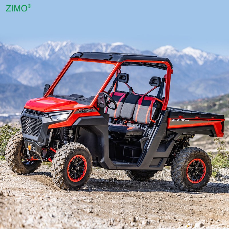 Gas Off Road Sport Quad Bike 4X4 Odes UTV 1000cc