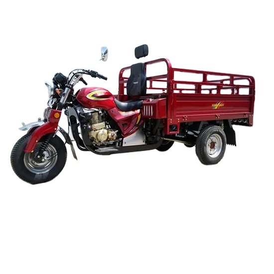 2025 200cc Air-Cooled Engine Tricycle/Bicycle/Agricultural Tricycle/Cargo Tricycle