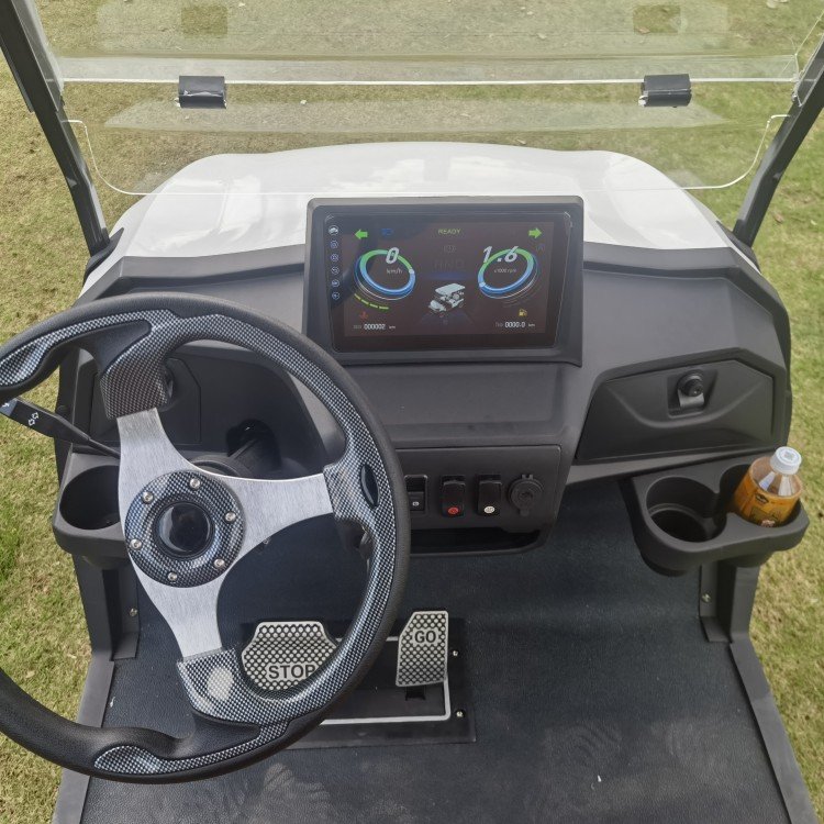 EPA Certified Gas Powered 6 Passenger Golf Cart with Petrol Engine for Sale/6 Seater Club Car Golf Cart with Gasoline Power