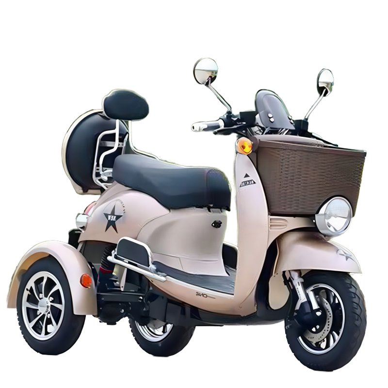Fashionable Customizable Electric Tricycle 60V Low Price All-Terrain with Smooth Fast Charging Welcome to Buy