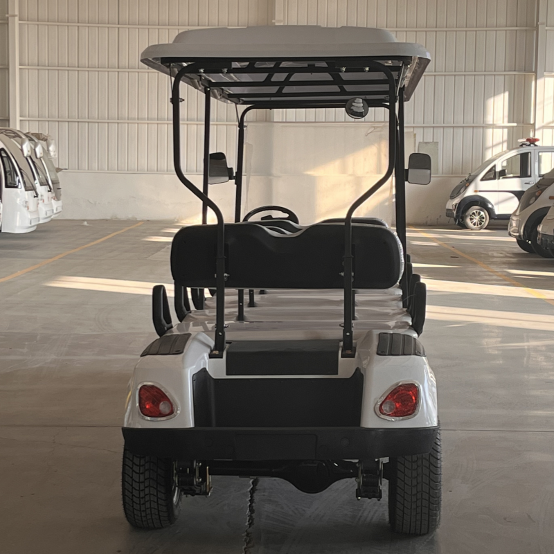 Exclusive Customization Supplier Price 48V Lithium Battery 4+2 Seat Hunting Golf Buggy