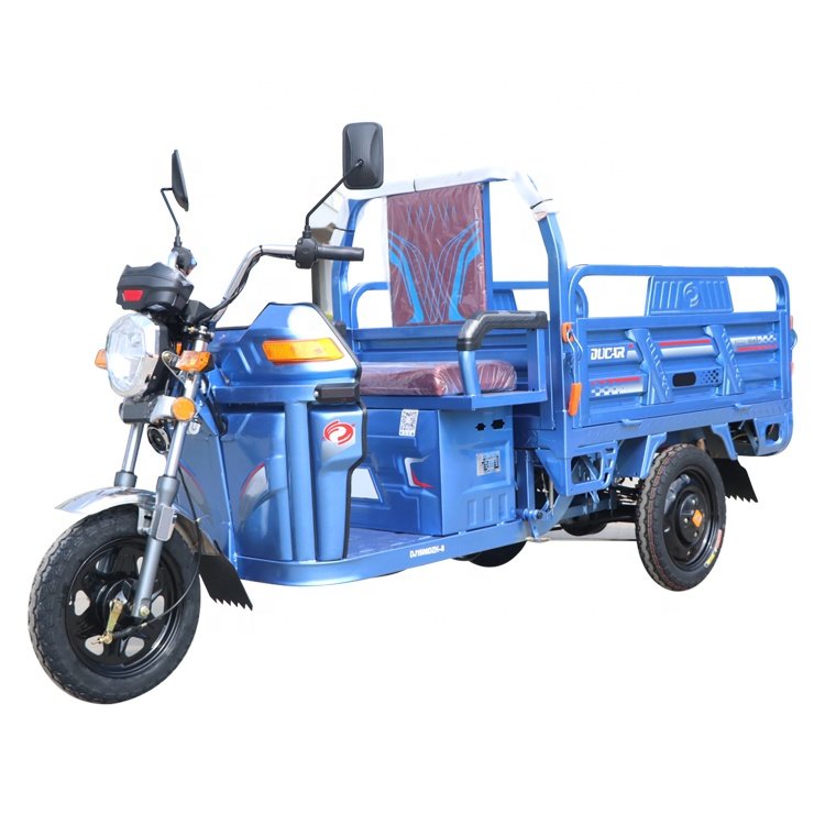 High Quality Trucks Cargo Electric Tricycle with 1 Seat for Adult
