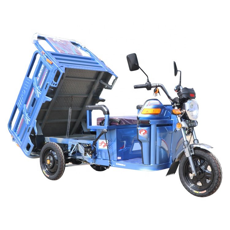 High Quality Trucks Cargo Electric Tricycle with 1 Seat for Adult