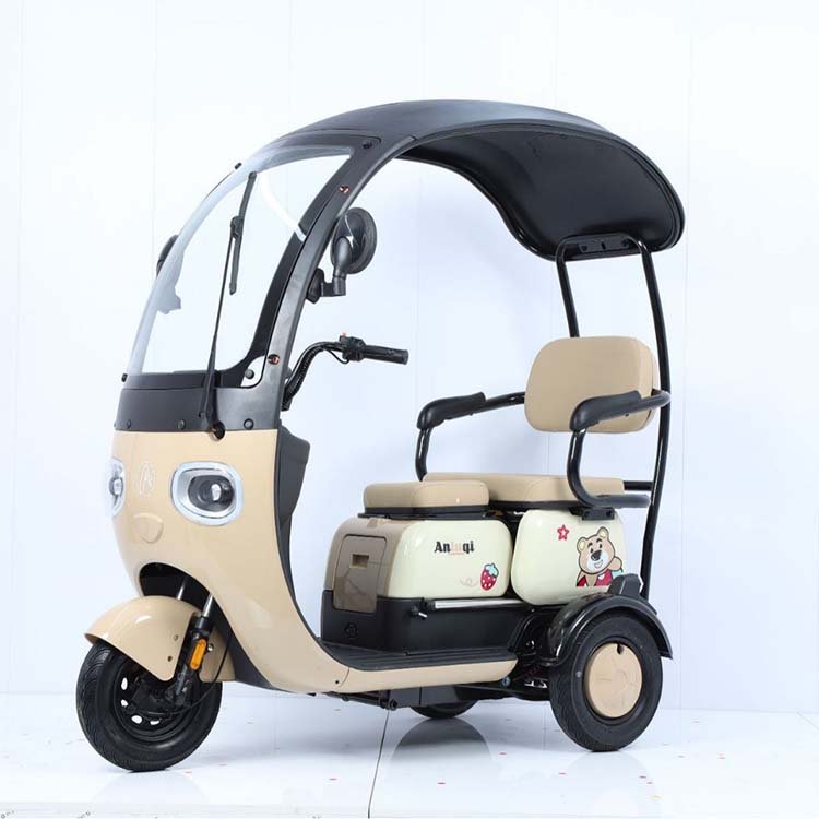 Hot Sale Electric Tricycle E Trike 3 Wheel Electric Bike 800W 1000W Three Wheel Electric Cargo Tricycle for Adults